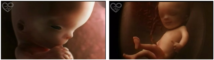 Bébé continue son évolution semaine par semaine, mois par mois dans le ventre de sa maman
